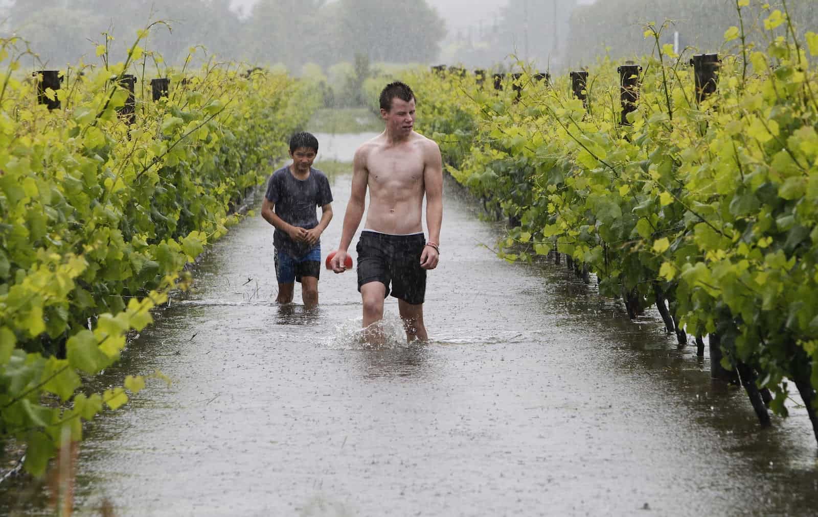 Nelson Region Rainfall