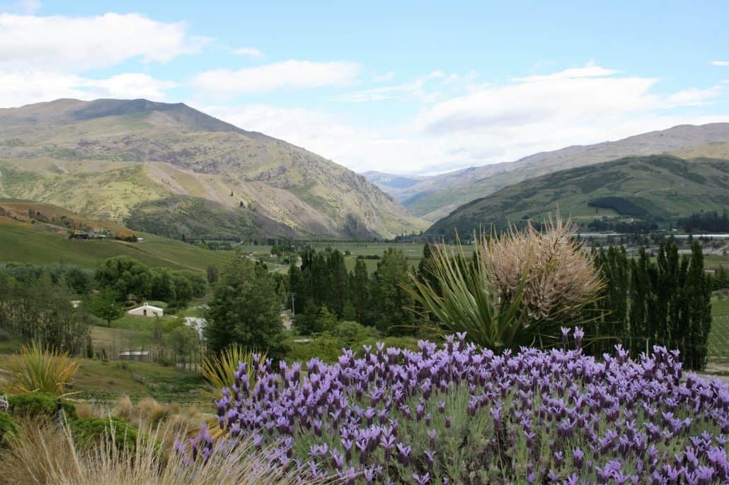 view-from-the-terrace-at-mt-difficulty-wines-restaurant