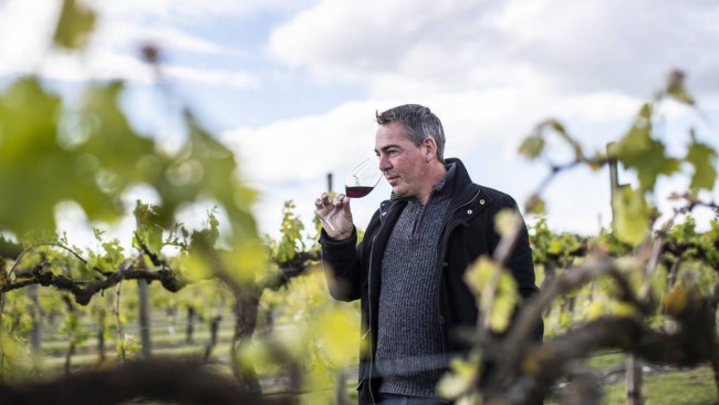 Brightwater Vineyards new winemaker