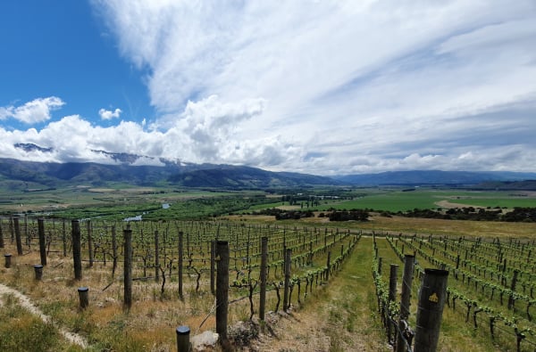 On the trail of fine food and wine in Central Otago