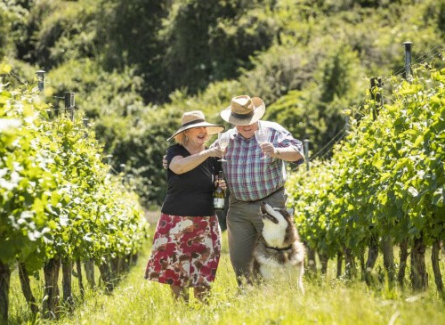 Nelson Chardonnays and Colin Harrison Trophy winner