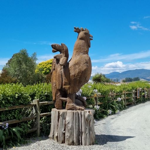 Nelson Food Distributors and The Chook Farm